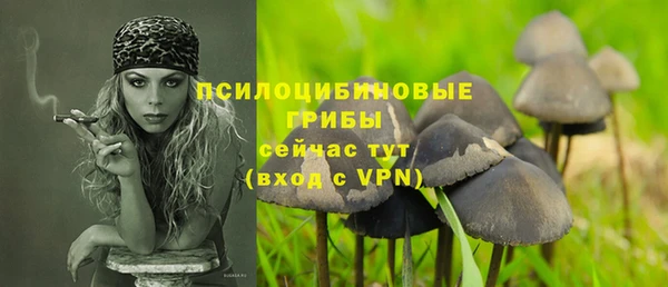 первитин Сясьстрой