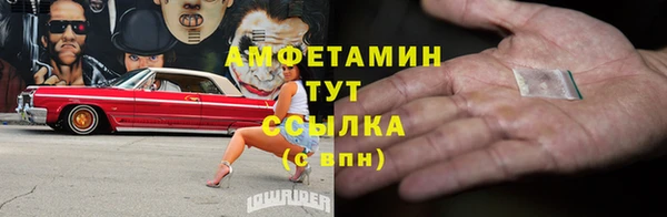 индика Волосово