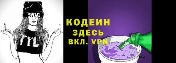 индика Волосово