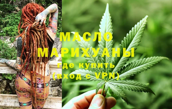 индика Волосово