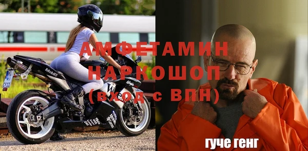 индика Волосово