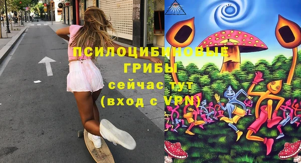 индика Волосово