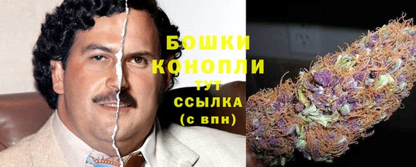 индика Волосово