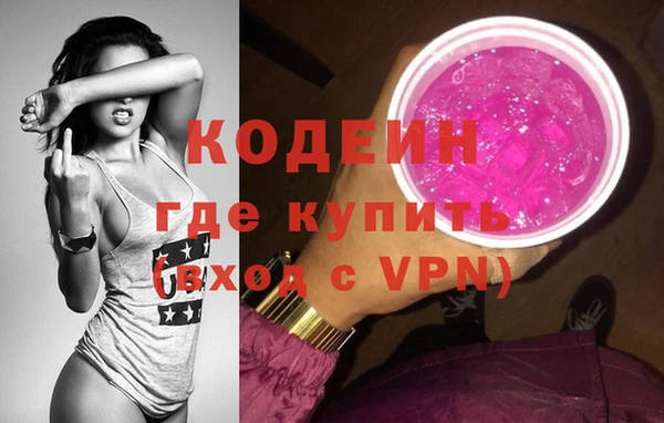 индика Волосово