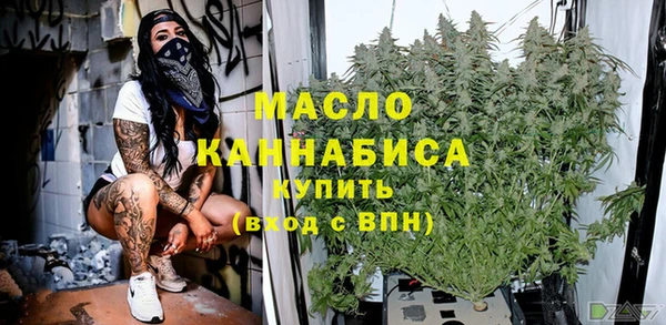 индика Волосово
