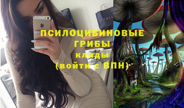 apvp Волоколамск