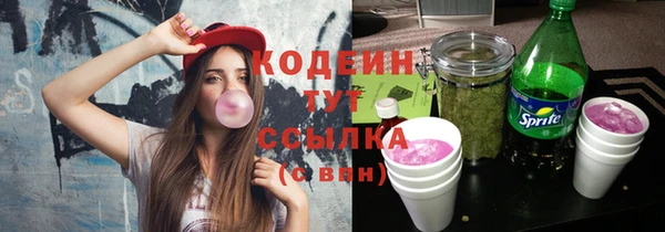 индика Волосово