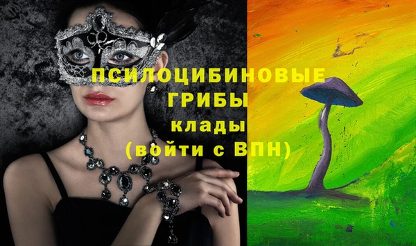 apvp Волоколамск